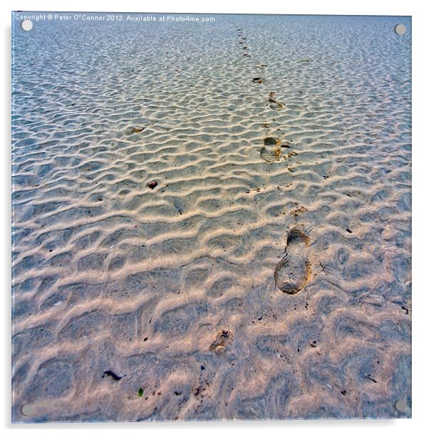 Footprints in the sand Acrylic by Canvas Landscape Peter O'Connor