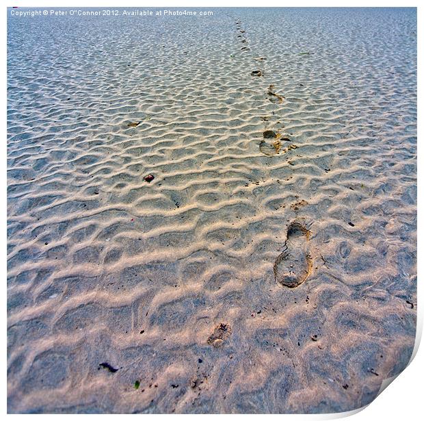 Footprints in the sand Print by Canvas Landscape Peter O'Connor