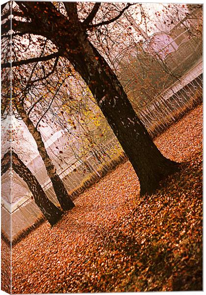 Autumn III Canvas Print by