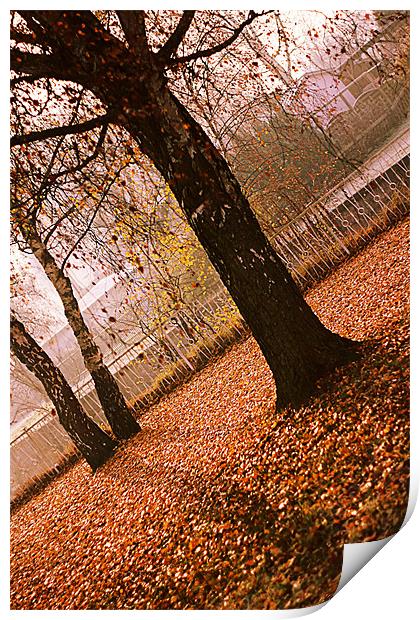 Autumn III Print by
