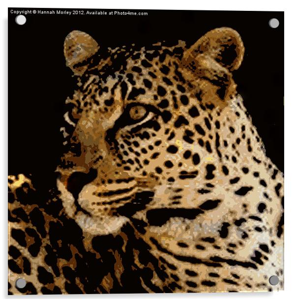 Leopard Acrylic by Hannah Morley