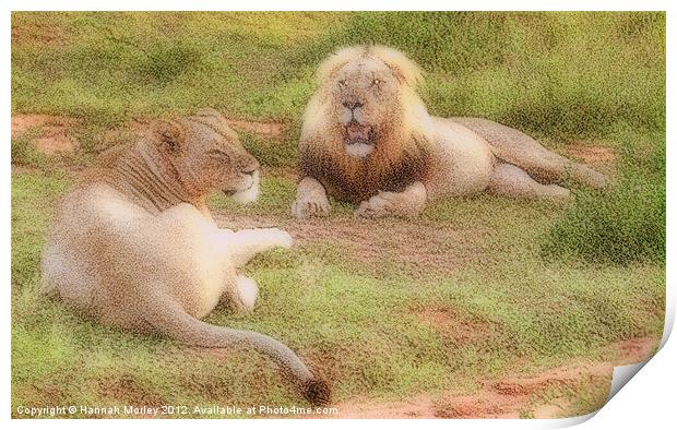 Lion Couple Print by Hannah Morley