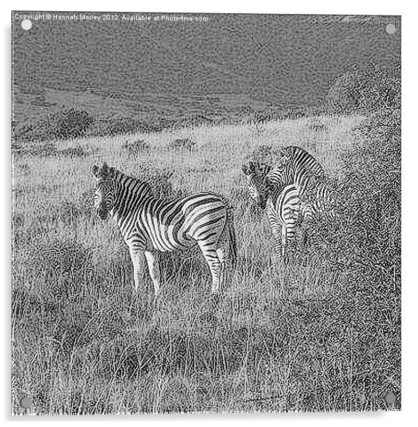 Zebra Acrylic by Hannah Morley