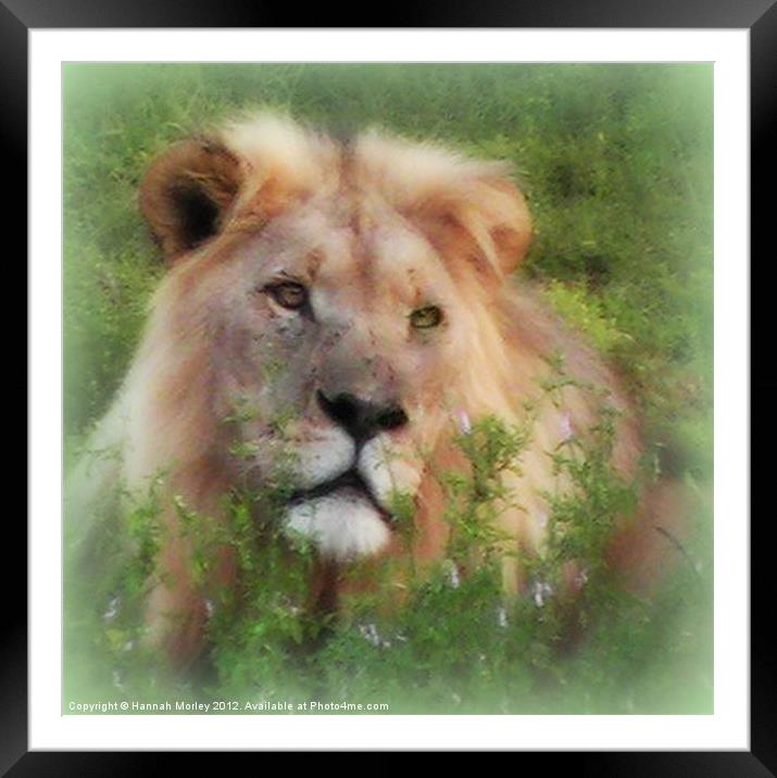 The King! Framed Mounted Print by Hannah Morley