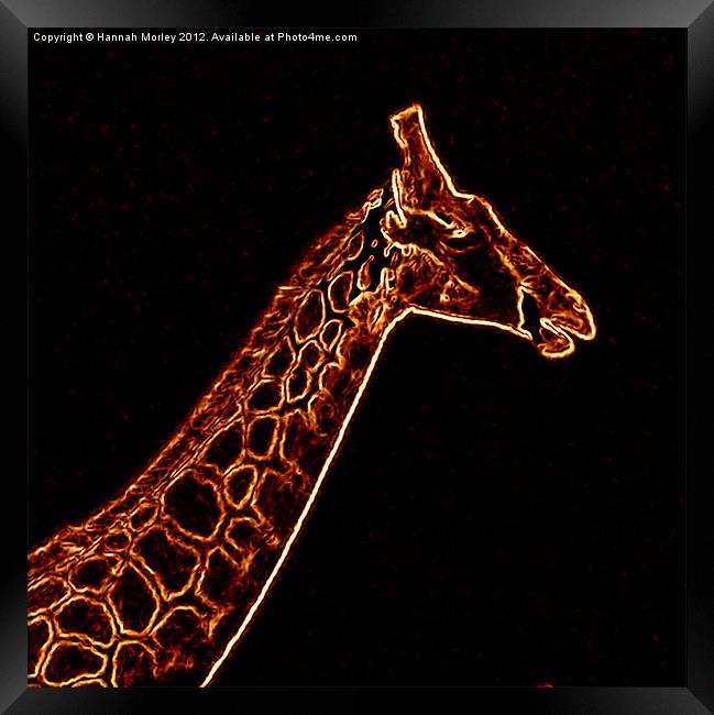 Neon Giraffe Framed Print by Hannah Morley