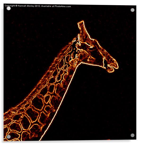 Neon Giraffe Acrylic by Hannah Morley