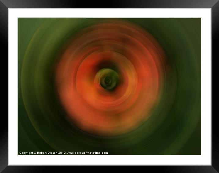 Spinning Disc Framed Mounted Print by Robert Gipson
