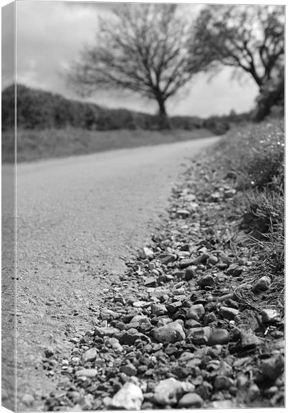 Country Lane Canvas Print by Adrian Wilkins