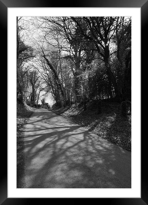 Wooded Lane Framed Mounted Print by Adrian Wilkins