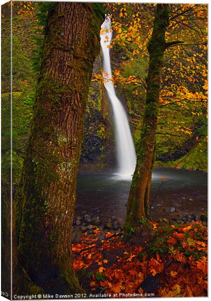 Surrounded by the Season Canvas Print by Mike Dawson