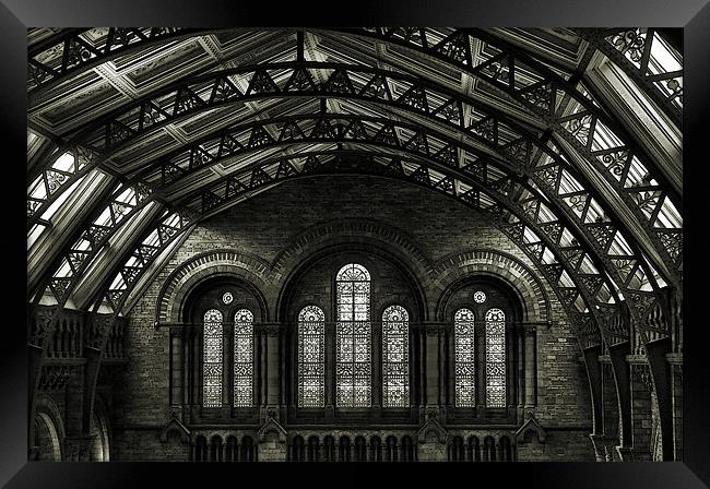 museum light - black and white Framed Print by Heather Newton