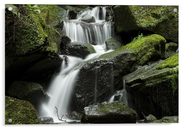 Lumsdale Waterfall Derbyshire Acrylic by Scott Simpson