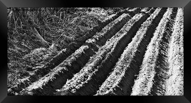 Ploughed Field Black and White Framed Print by Jane McIlroy