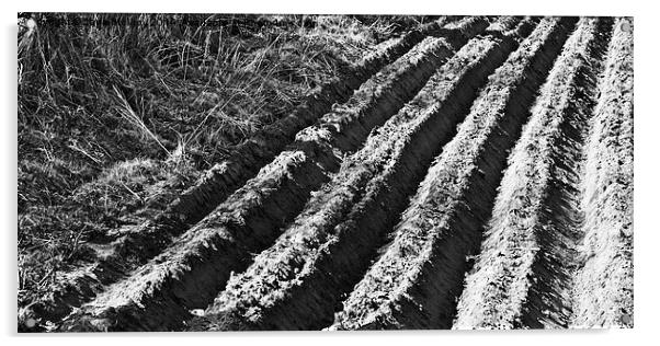 Ploughed Field Black and White Acrylic by Jane McIlroy