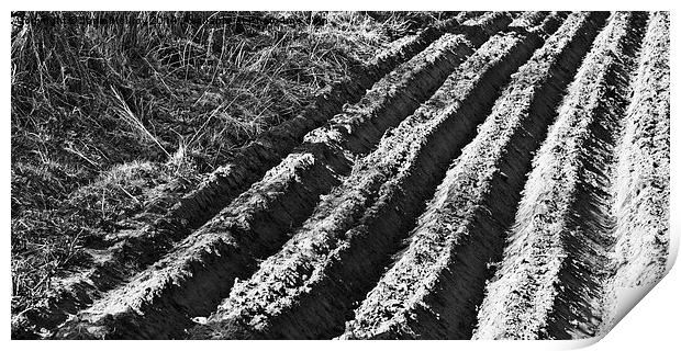 Ploughed Field Black and White Print by Jane McIlroy