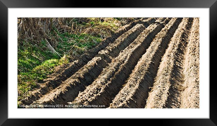 Ploughed Field Framed Mounted Print by Jane McIlroy