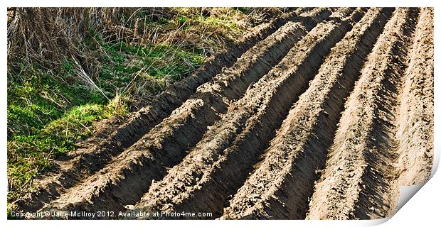 Ploughed Field Print by Jane McIlroy