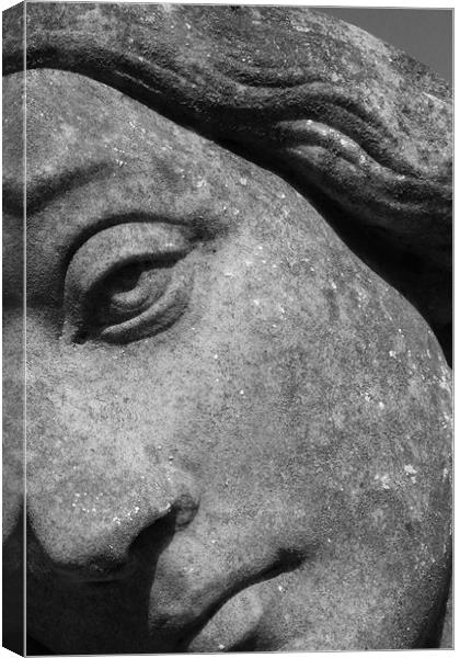 Stone Face Canvas Print by Adrian Wilkins