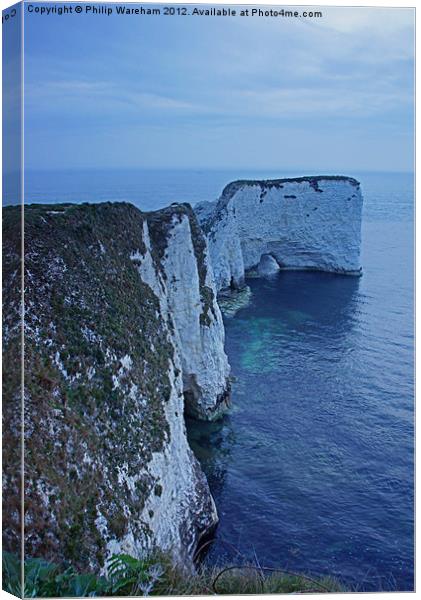 Old Harry Headland at Dawn Canvas Print by Phil Wareham