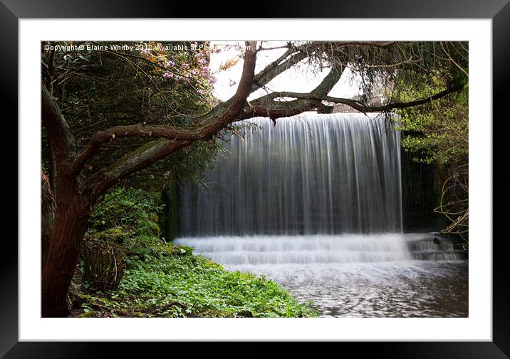 Japanese Gardens Newstead Abbey Framed Mounted Print by Elaine Whitby