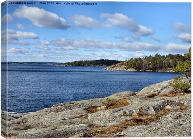 Ingarö Island 3 in colour Canvas Print by Sarah Osterman