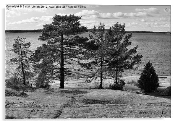 Ingarö Island 4 in monochrome Acrylic by Sarah Osterman