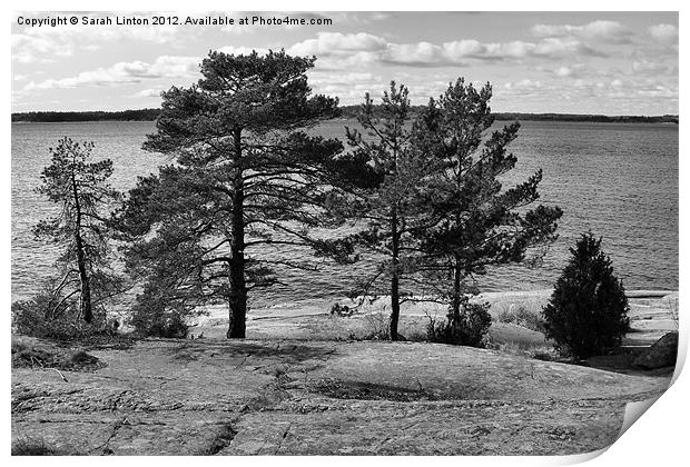 Ingarö Island 4 in monochrome Print by Sarah Osterman