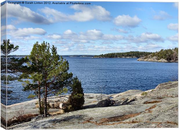 Ingarö Island 5 in colour Canvas Print by Sarah Osterman