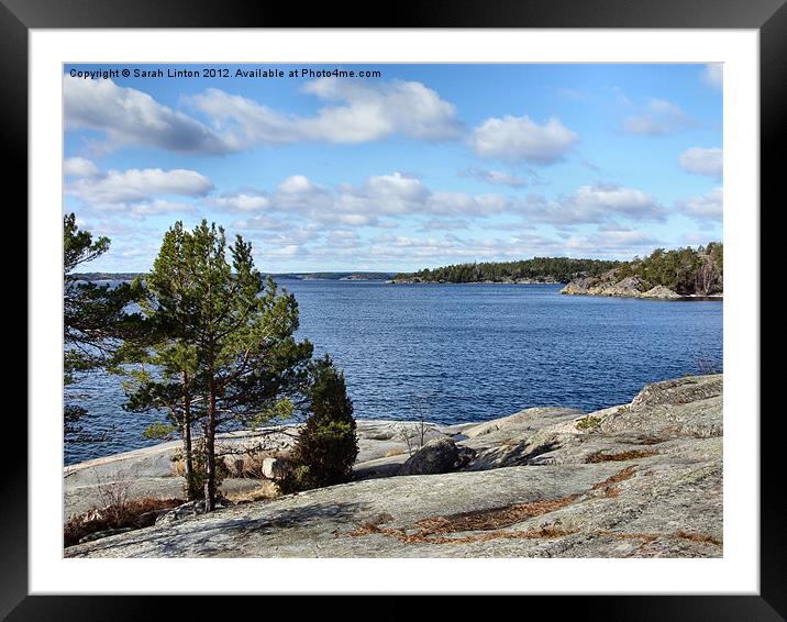 Ingarö Island 5 in colour Framed Mounted Print by Sarah Osterman