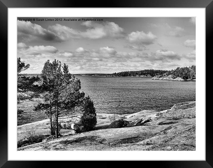 Ingarö Island 5 in monochrome Framed Mounted Print by Sarah Osterman