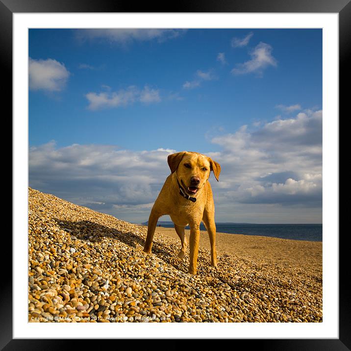 Walk on the beach Framed Mounted Print by Mark Chance