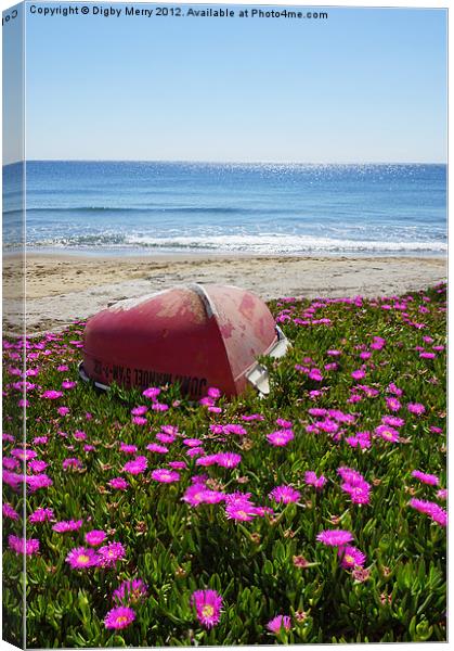 Boat with flowers Canvas Print by Digby Merry