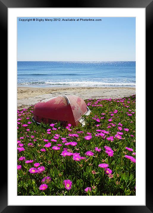 Boat with flowers Framed Mounted Print by Digby Merry