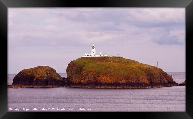 StrumbleHead LightHouse.1 Framed Print by paulette hurley