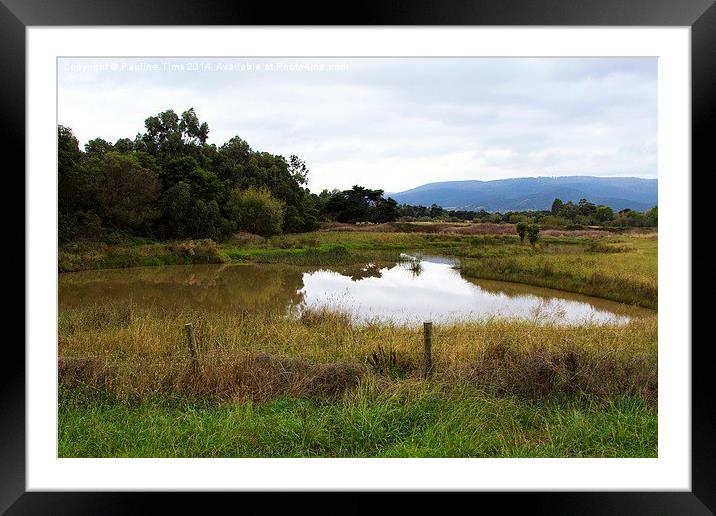 Bruce's Creek Whittlesea Framed Mounted Print by Pauline Tims