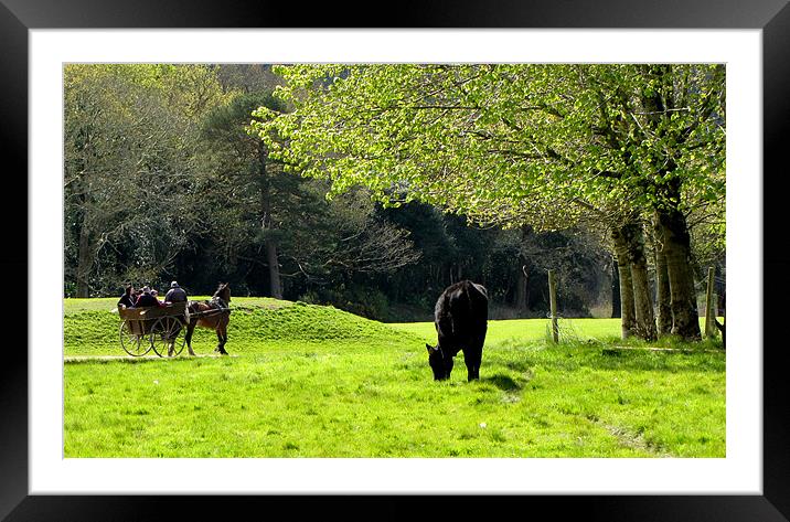 Killarney National Park Framed Mounted Print by barbara walsh