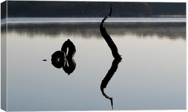 Reflections Canvas Print by barbara walsh