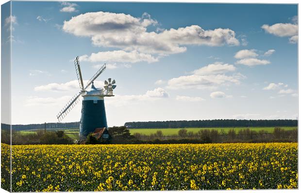 Burnham Windmill oilseed rape field Canvas Print by Stephen Mole
