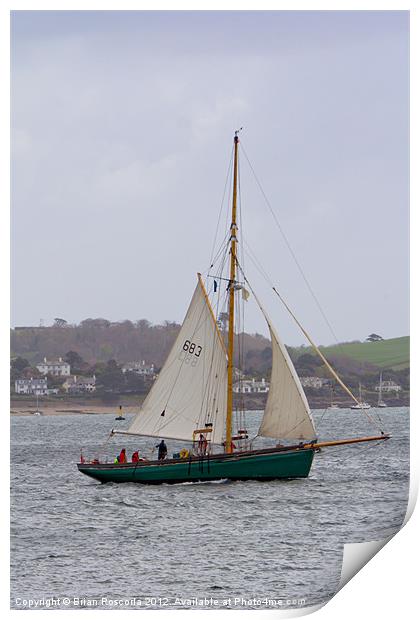 Passing St Mawes Print by Brian Roscorla