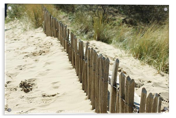 Saving The Sand Dunes Acrylic by philip milner