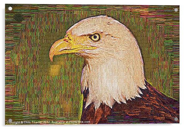 Bald Eagle Embroidered Acrylic by Chris Thaxter