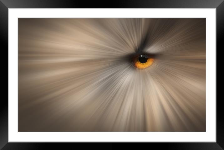 Eagle Owl Eye Abstract Framed Mounted Print by Natures' Canvas: Wall Art  & Prints by Andy Astbury