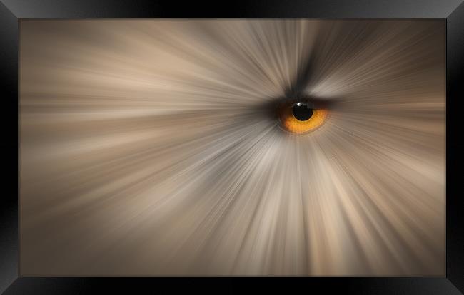 Eagle Owl Eye Abstract Framed Print by Natures' Canvas: Wall Art  & Prints by Andy Astbury