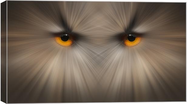Eyes of a Killer Canvas Print by Natures' Canvas: Wall Art  & Prints by Andy Astbury