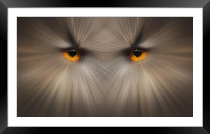 Eyes of a Killer Framed Mounted Print by Natures' Canvas: Wall Art  & Prints by Andy Astbury
