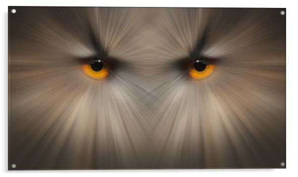 Eyes of a Killer Acrylic by Natures' Canvas: Wall Art  & Prints by Andy Astbury