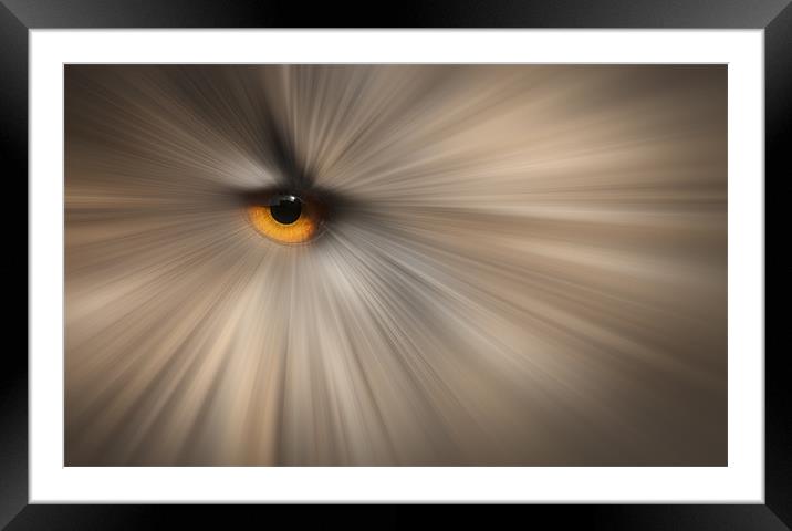 Eagle Owl Eye Abstract Framed Mounted Print by Natures' Canvas: Wall Art  & Prints by Andy Astbury
