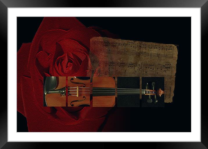 A Love For Music Framed Mounted Print by Debra Kelday
