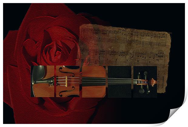 A Love For Music Print by Debra Kelday