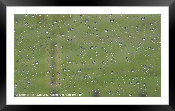 Gorgeous Rain. Framed Mounted Print by Rob Taylor